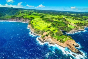 火山と滝での贅沢なピクニック：プライベートヘリコプター