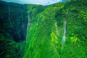 火山と滝での贅沢なピクニック：プライベートヘリコプター