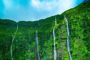 火山と滝での贅沢なピクニック：プライベートヘリコプター