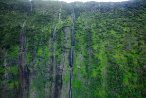 火山と滝での贅沢なピクニック：プライベートヘリコプター