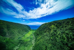 火山と滝での贅沢なピクニック：プライベートヘリコプター