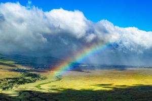 火山と滝での贅沢なピクニック：プライベートヘリコプター