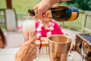 Ylellinen piknik Tulivuoret ja vesiputoukset: Helikopteri