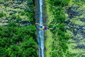 Ylellinen piknik Tulivuoret ja vesiputoukset: Helikopteri