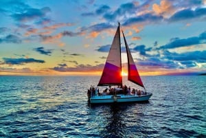 Porto di Maalaea: Vela al tramonto e osservazione delle balene con bevande