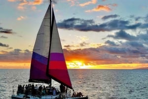 Porto di Maalaea: Vela al tramonto e osservazione delle balene con bevande