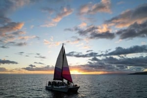 Maalaea haven: Zeil bij zonsondergang en walvissen kijken met drankjes