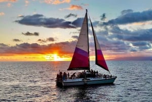 Port de Maalaea : Voile au coucher du soleil et observation des baleines avec boissons