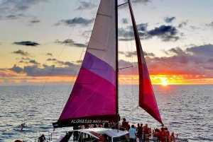 Port de Maalaea : Voile au coucher du soleil et observation des baleines avec boissons