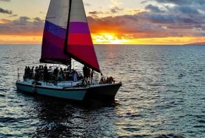 Maalaea havn: Sejl ved solnedgang på en charmerende hawaiiansk katamaran