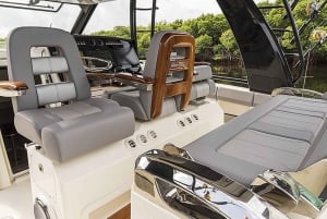 Maalaea: 2-timers hvalsafariopplevelse i liten gruppe