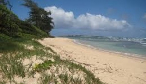11 Fun Ocean Activities In Hawaii