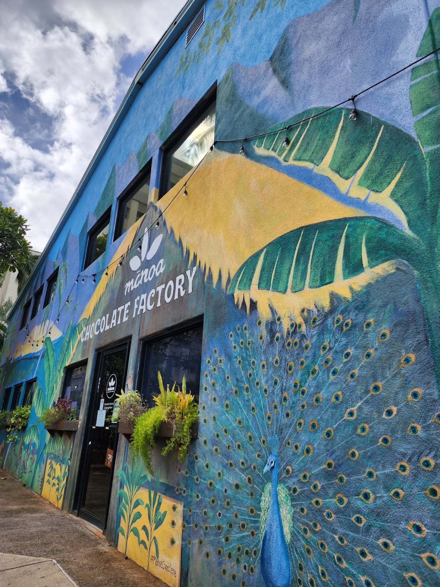 Mānoa Chocolate Café & Wine Bar