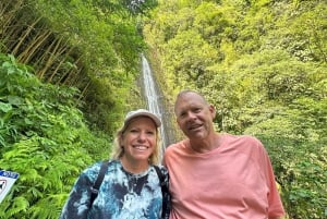 Manoa Falls eBike to Hike