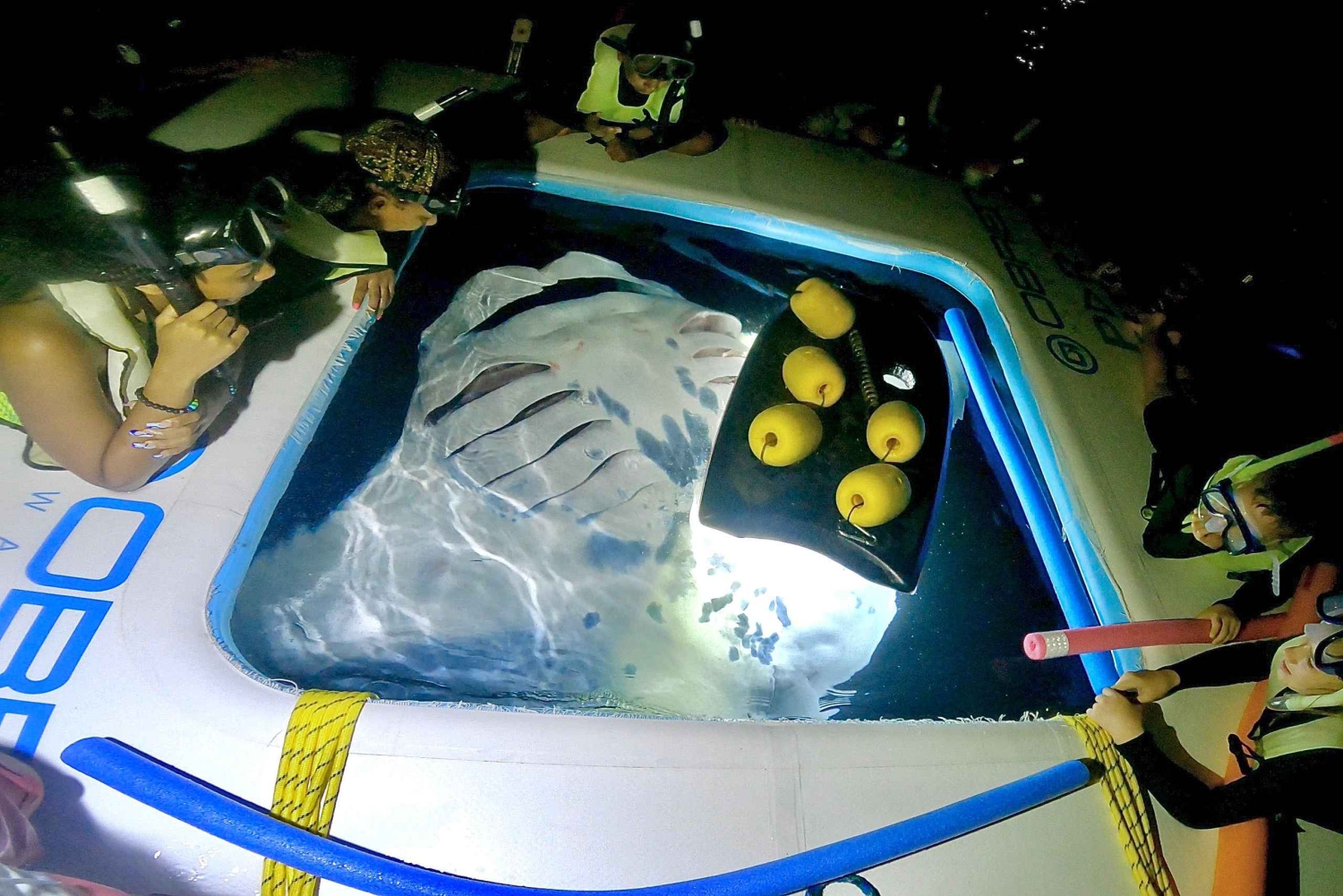 Manta Ray Snorkel in Kailua-Kona with Hot Cocoa