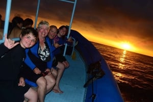 Snorkeling con le mante a Kailua-Kona con cioccolata calda