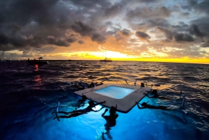 Manta Ray Snorkel in Kailua-Kona with Hot Cocoa