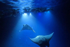 Manta Ray Snorkel in Kailua-Kona with Hot Cocoa