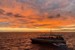 Manta Ray Snorkel in Kailua-Kona with Hot Cocoa