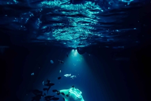 Manta Ray Snorkel in Kailua-Kona with Hot Cocoa