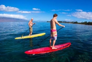 Maui: 2 timers lektion i surfing med stand-up paddleboard