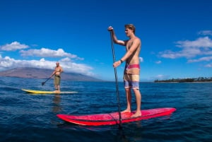 Maui: 2 timmars lektion i surfing med Stand-Up Paddleboard