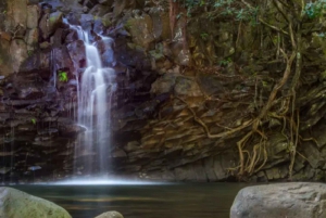 Kahului: Guided Rainforest and Waterfall Walk