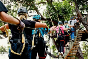 Maui: Camp Maui Zip Line Tour