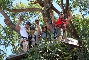 Maui: Camp Maui Zip Line Tour