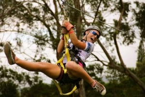 Maui: 7 Zip Lines and WWII Museum