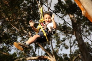 Maui: Camp Maui Zip Line Tour