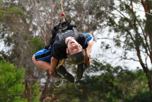 Maui: Camp Maui Zip Line Tour