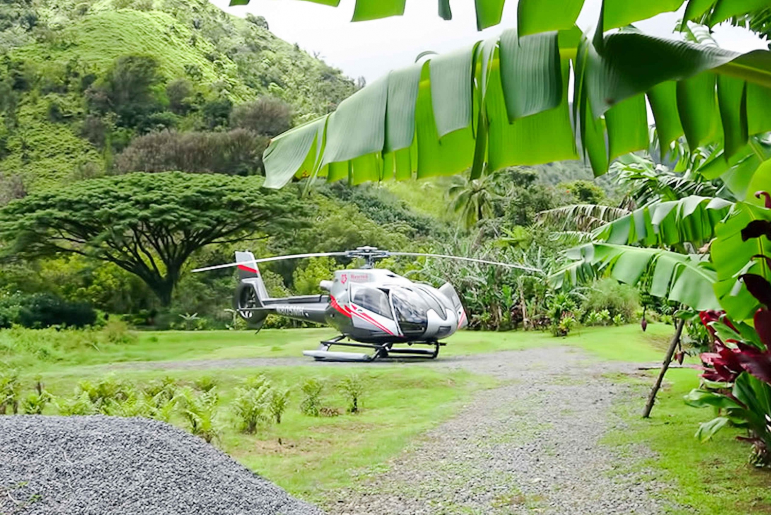 Maui 75Minute Hana Rainforest Helicopter Tour in Hawaii My Guide Hawaii