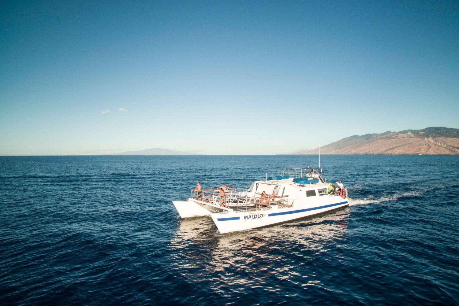 Maui Afternoon Snorkel To Coral Gardens Or Molokini Crater In