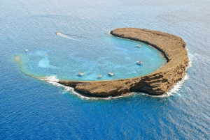 From Ma'alaea Afternoon Snorkel to Molokini or Coral Gardens