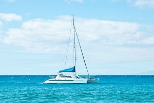 South Maui: PM Snorkel to Coral Gardens or Molokini Crater