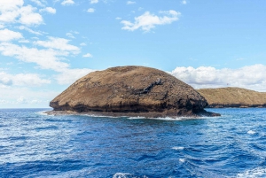 South Maui: PM Snorkel to Coral Gardens or Molokini Crater