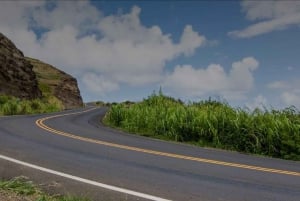 Maui: Aloha MotorSports Slingshot North Coast Tour