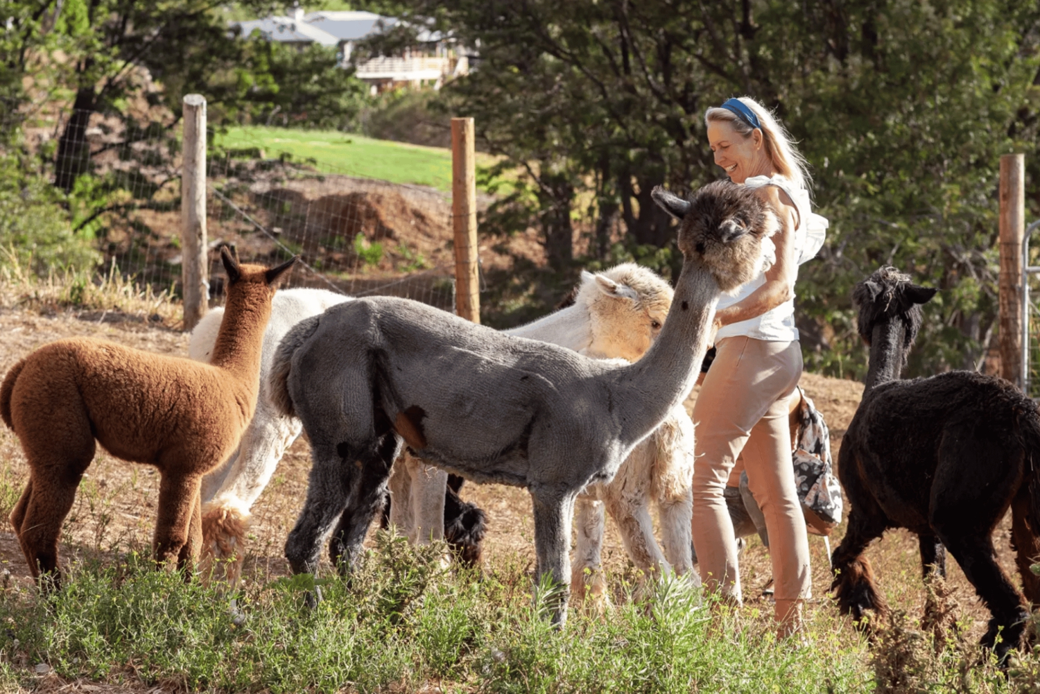 Maui: Alpaca Farm Visit with Hands-On Activities