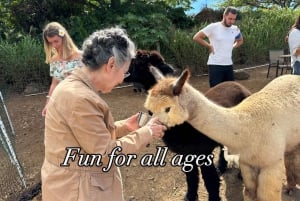 Maui: Alpaca Farm Visit with Hands-On Activities