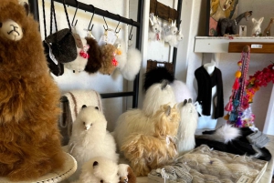 Maui: Alpaca Farm Visit with Hands-On Activities