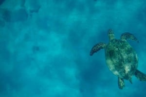 Maui en Lanai: Snorkel en Dolfijn Avontuur Tour
