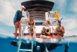 Maui en Lanai: Snorkel en Dolfijn Avontuur Tour