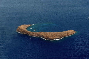 Maui och Molokai: Spektakulär helikoptertur