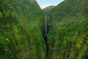 Maui och Molokai: Spektakulär helikoptertur