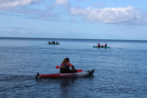 Maui: Au'au Channel Kayak and Snorkel Adventure