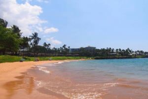 Maui: Beach Parks Self-Guided Driving Tour with Audio Guide