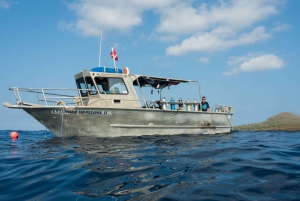 Maui: Beginner Discovery Scuba Dive Excursion from Lahaina