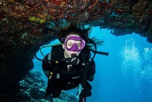 Maui: Nybörjare Discovery Scuba Dive Excursion från Lahaina