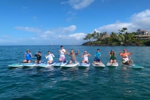 Maui: aula privada de stand-up paddle de nível iniciante